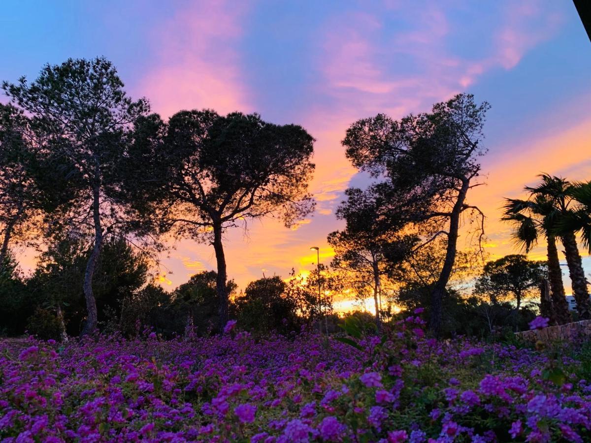 Dehesa de Campoamor Naranjo Golf & Leisureアパートメント エクステリア 写真